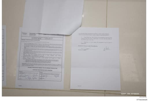 Preview of EFTA01303329