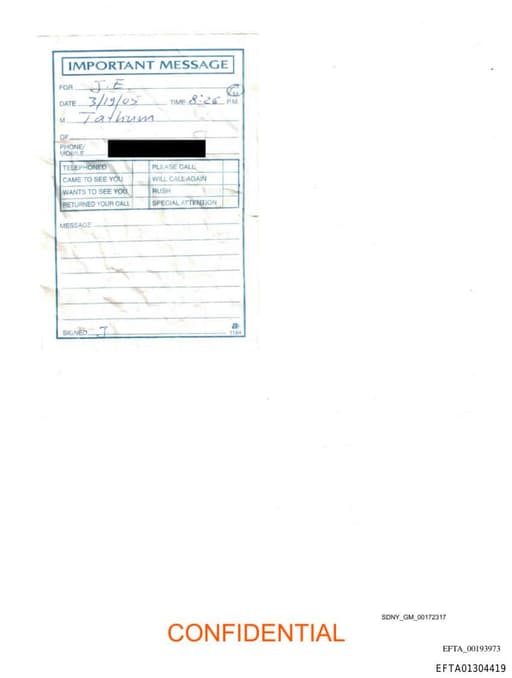 Preview of EFTA01304419