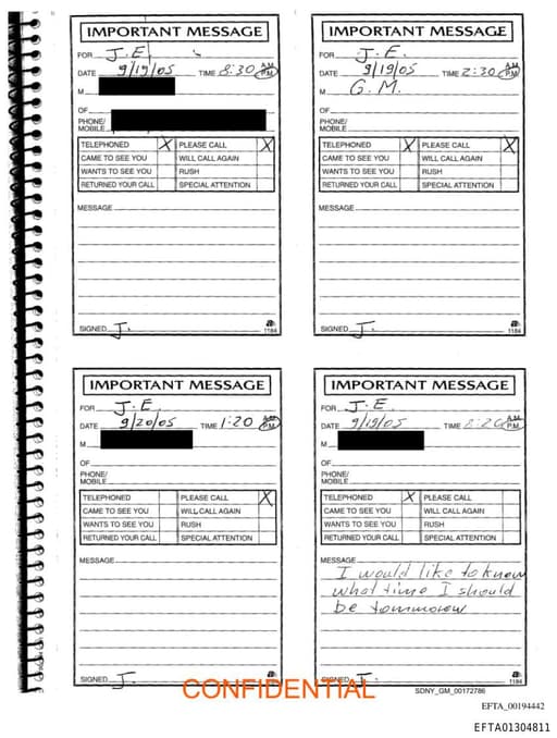 Preview of EFTA01304811