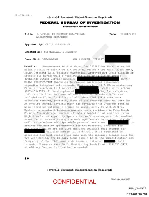 Preview of EFTA01307704