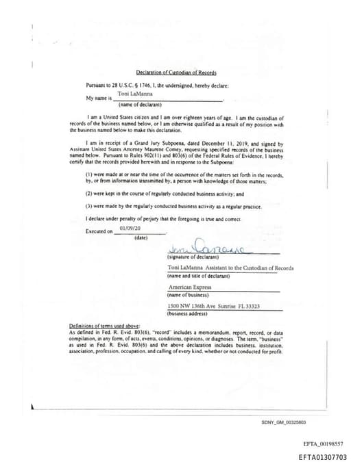 Preview of EFTA01307703