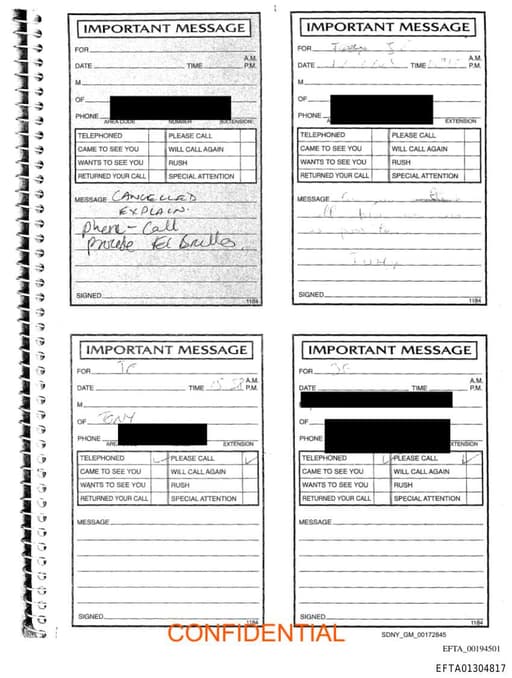 Preview of EFTA01304817