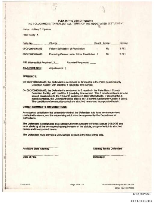 Preview of EFTA01306387