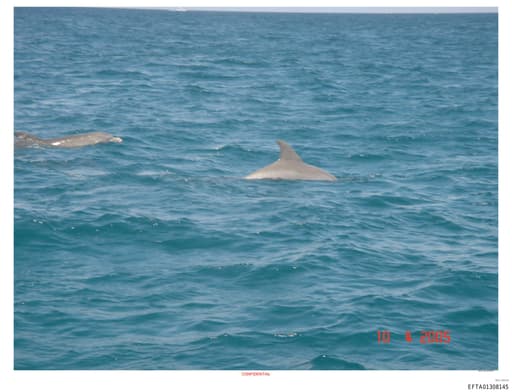 Preview of EFTA01308145