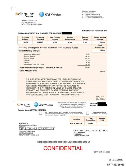 Preview of EFTA01316035