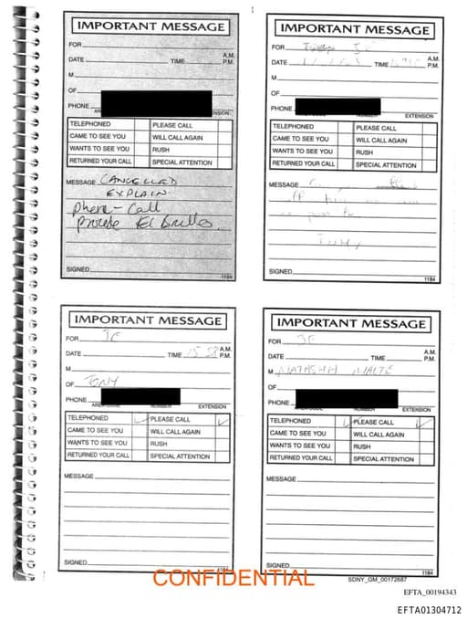 Preview of EFTA01304712