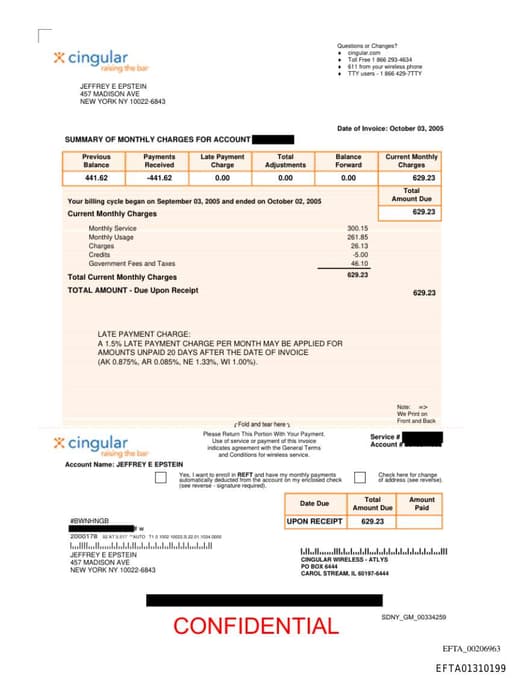 Preview of EFTA01310199