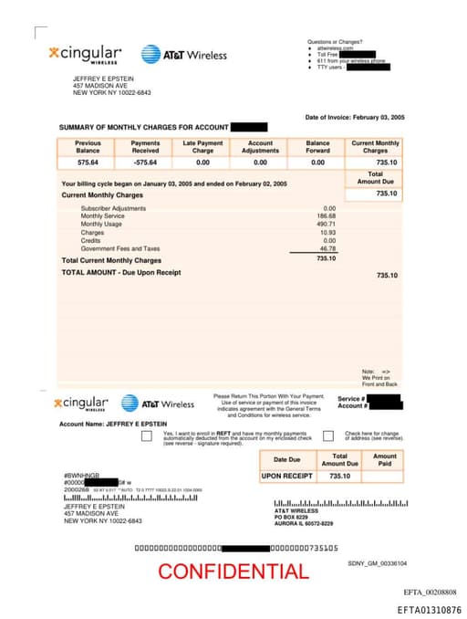 Preview of EFTA01310876