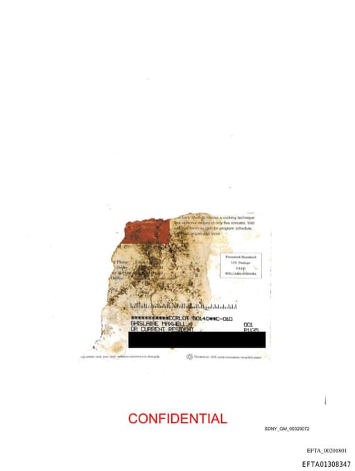 Preview of EFTA01308347