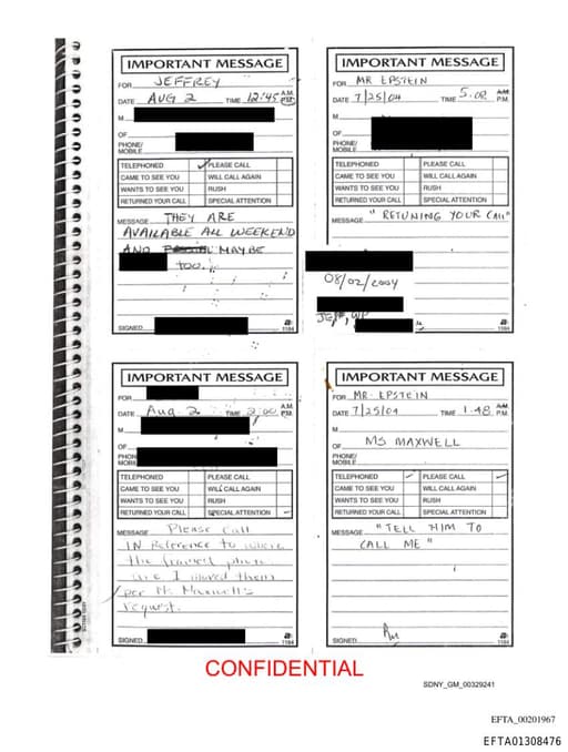 Preview of EFTA01308476