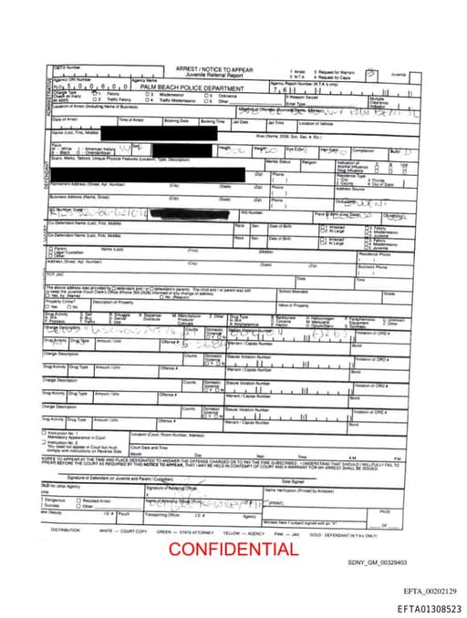 Preview of EFTA01308523