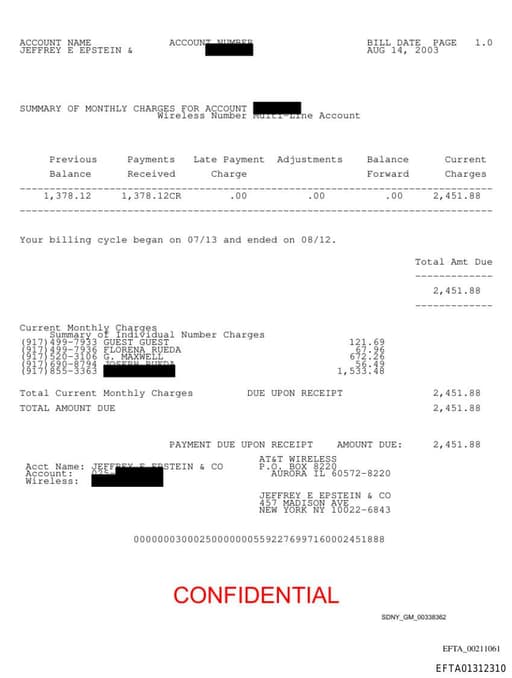 Preview of EFTA01312310