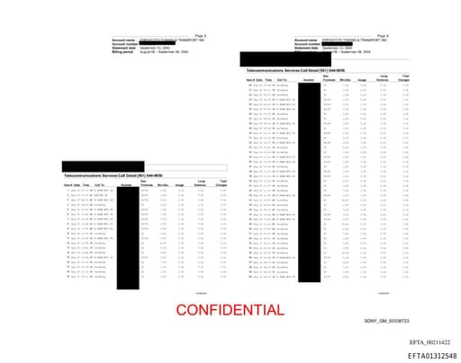 Preview of EFTA01312548