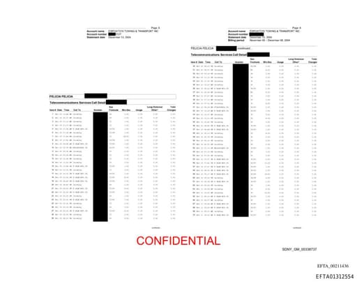 Preview of EFTA01312554