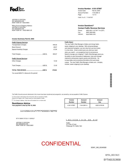 Preview of EFTA01313930