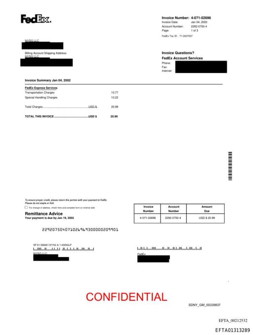 Preview of EFTA01313289