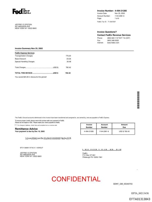 Preview of EFTA01313843