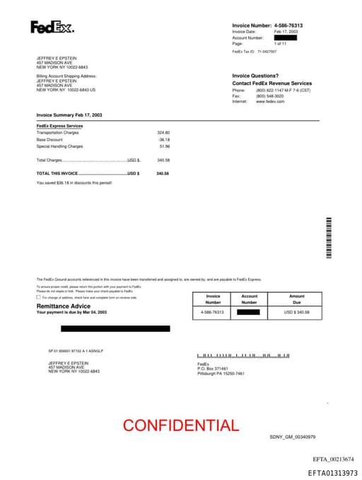 Preview of EFTA01313973