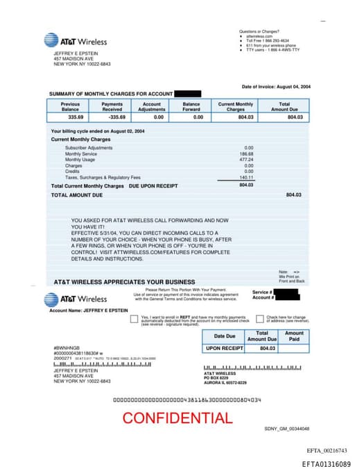 Preview of EFTA01316089
