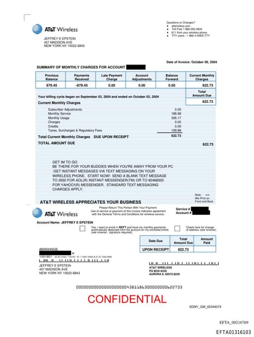 Preview of EFTA01316103