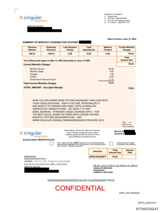 Preview of EFTA01316147