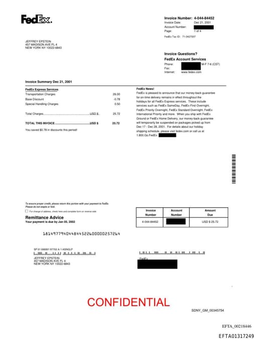 Preview of EFTA01317249