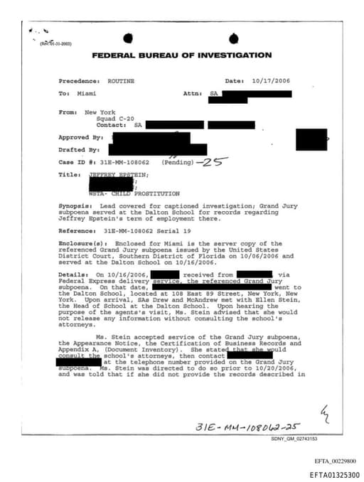 Preview of EFTA01325300