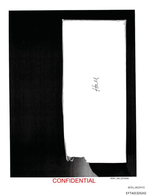 Preview of EFTA01325242