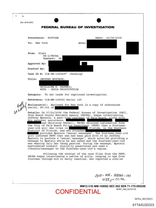 Preview of EFTA01325315