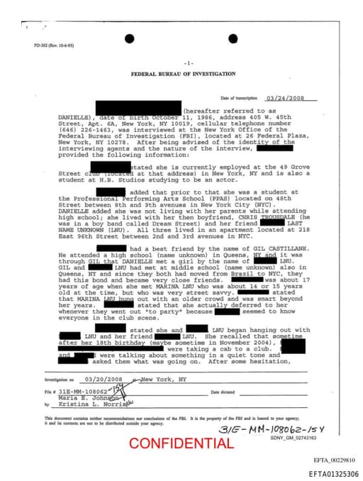 Preview of EFTA01325306