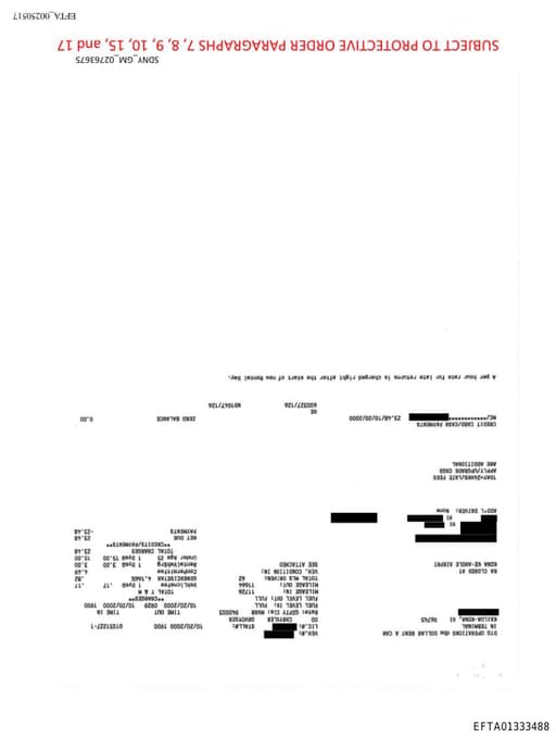 Preview of EFTA01333488