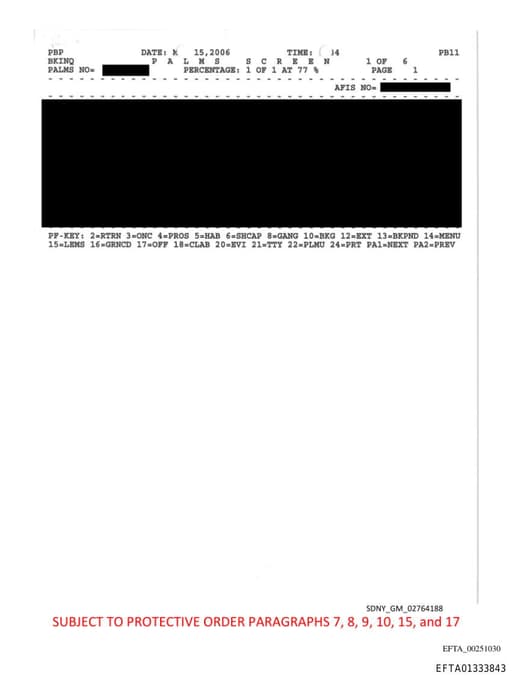 Preview of EFTA01333843