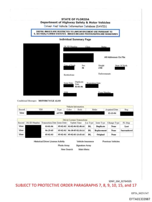 Preview of EFTA01333987