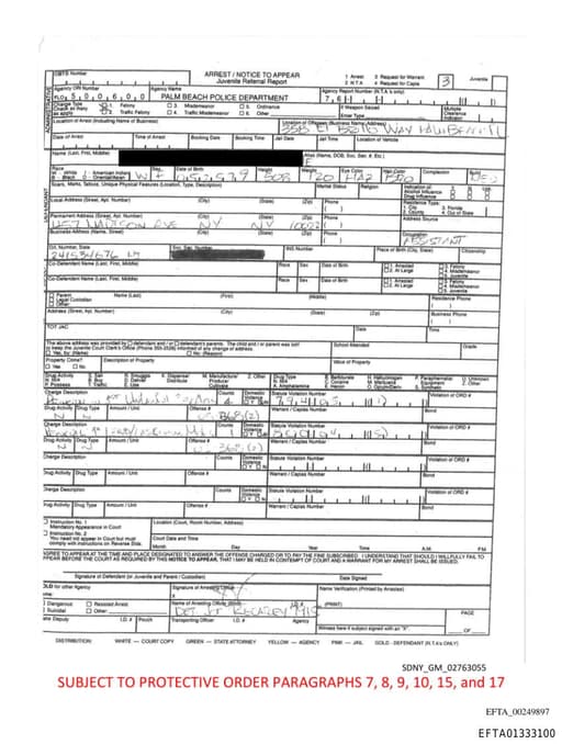 Preview of EFTA01333100