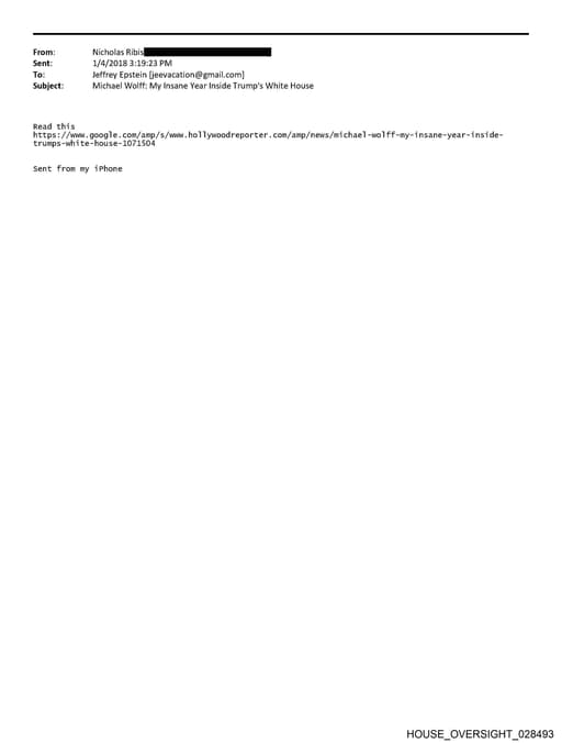 Preview of HOUSE_OVERSIGHT_028493