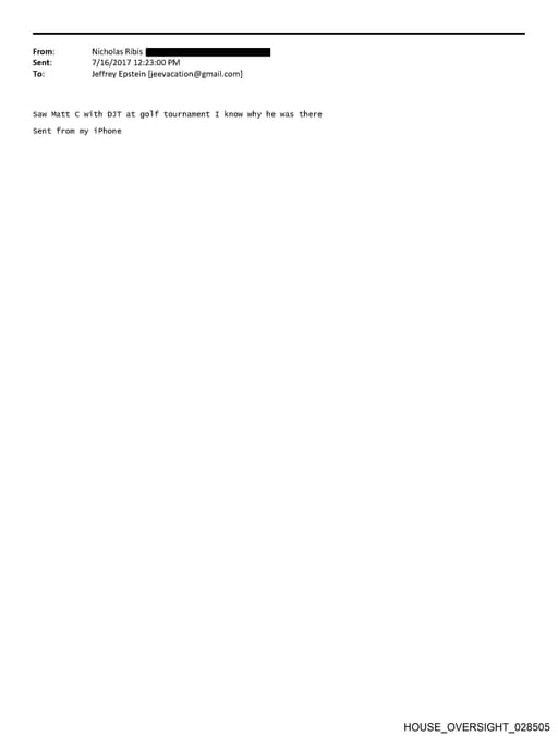 Preview of HOUSE_OVERSIGHT_028505