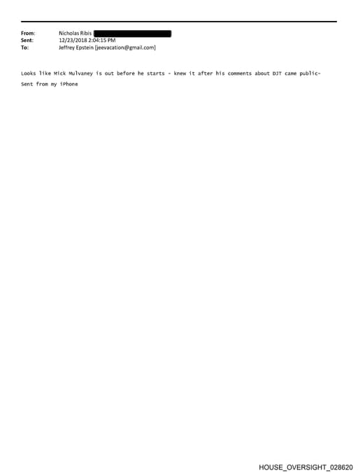 Preview of HOUSE_OVERSIGHT_028620