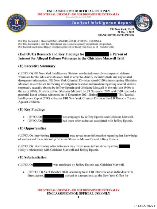 Preview of EFTA02730271