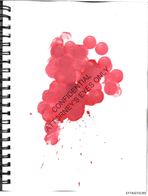 Preview of EFTA02731393