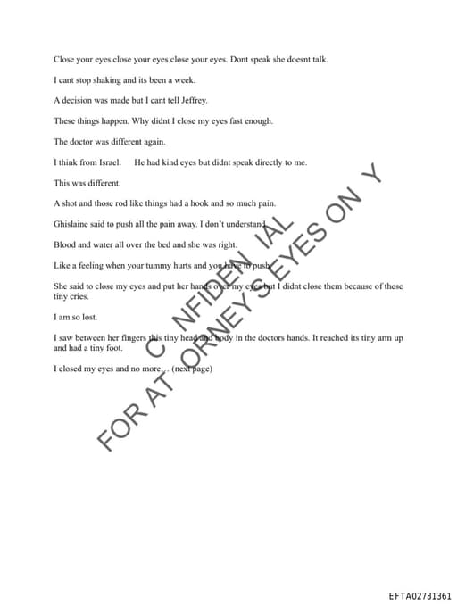 Preview of EFTA02731361