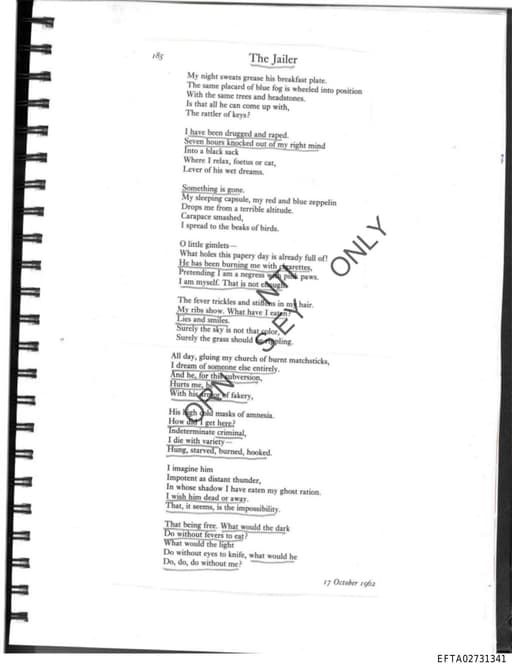 Preview of EFTA02731341