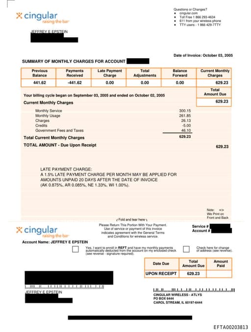 Preview of EFTA00203813