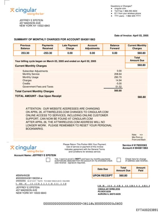 Preview of EFTA00203891