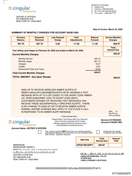 Preview of EFTA00203879