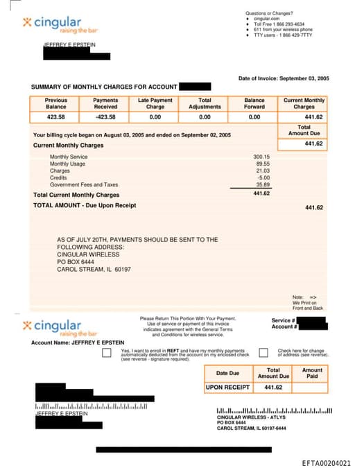 Preview of EFTA00204021