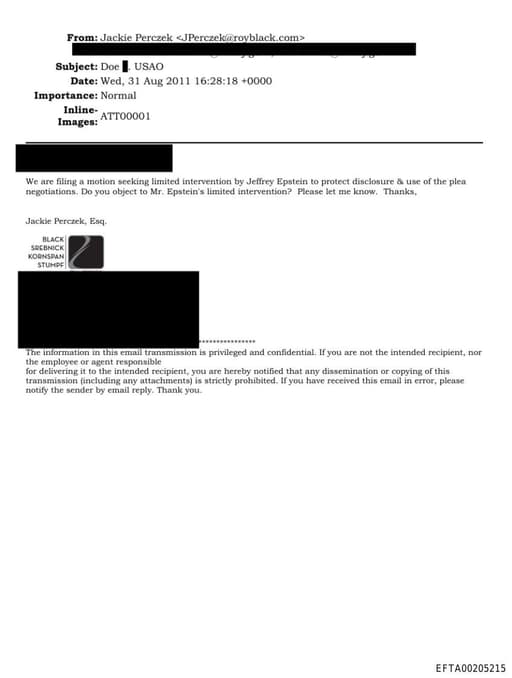 Preview of EFTA00205215