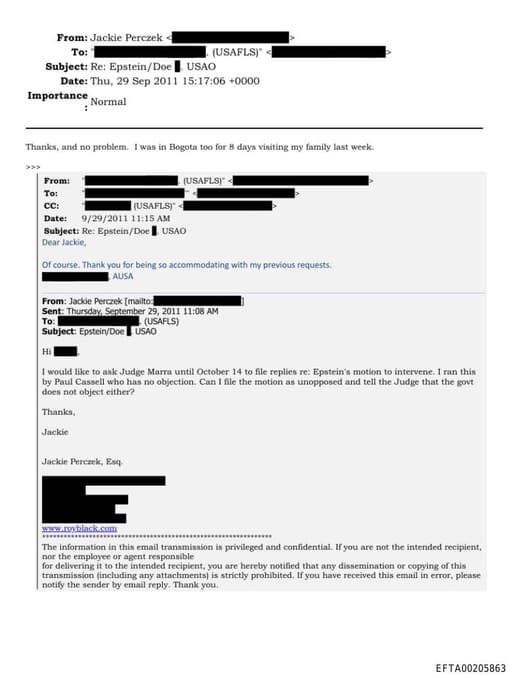 Preview of EFTA00205863