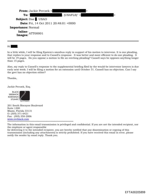 Preview of EFTA00205899