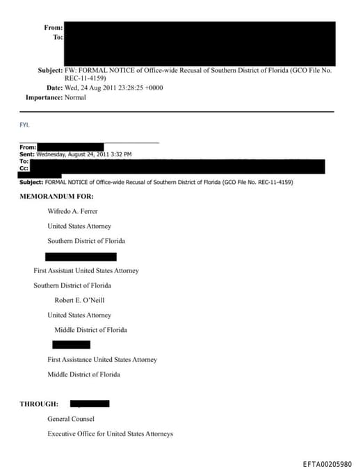 Preview of EFTA00205980