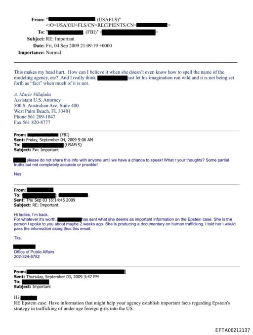 Preview of EFTA00212137